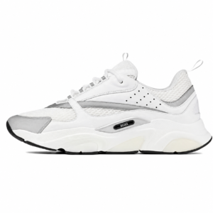 Dior B22 Blanc / Gris Clair