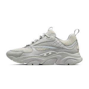 Dior B22 Gris Clair Monochrome