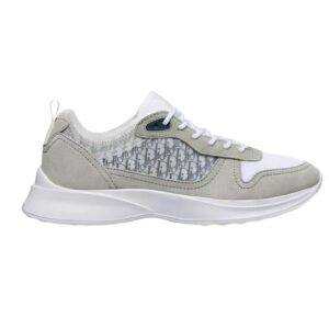 Dior B25 Grey